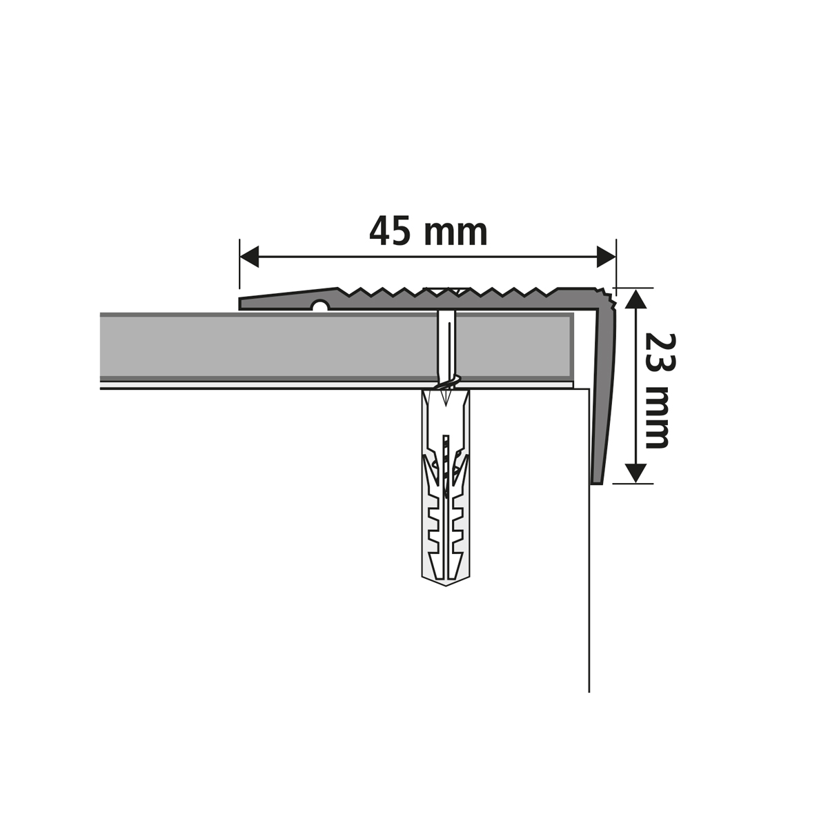 Winkelprofil Treppenwinkel 24 x 1900 mm in Schwarz aus Aluminium