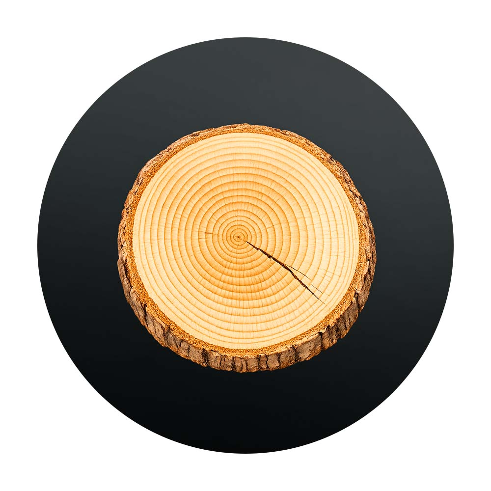 Kleiner Trocknungsriss im Holzquerschnitt – natürliche Eigenschaft von Massivholz