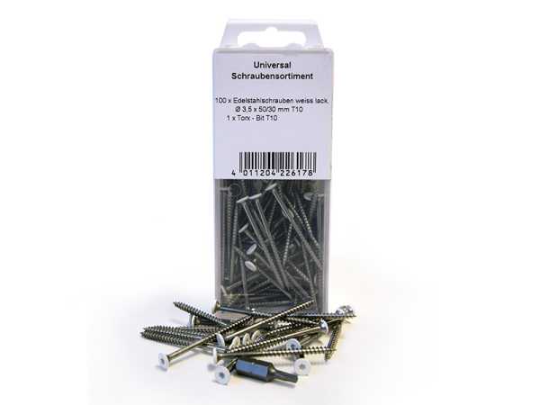 100 Torx-Edelstahlschrauben, weißer Kopf - inkl. Torx-Bit